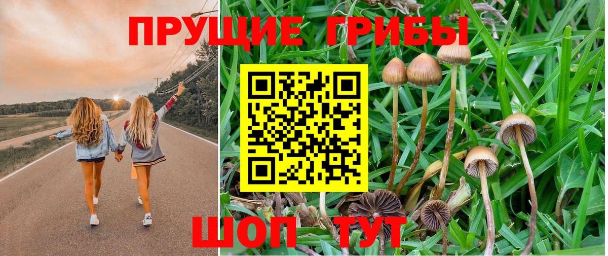 Галлюциногенные грибы Magic Shrooms Каменск-Уральский