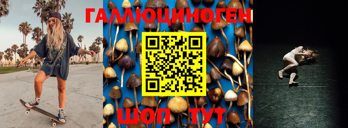 Каменск-Уральский  Псилоцибиновые грибы мицелий  Вход с VPN 
